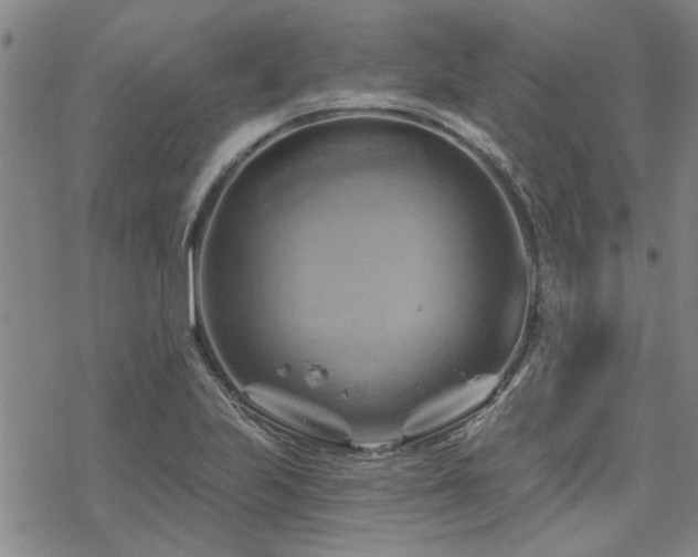 X0000068821223200605051202