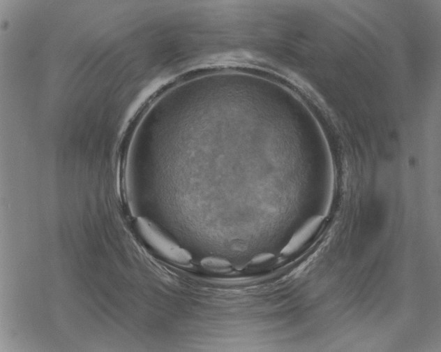 X0000068821224200605051202