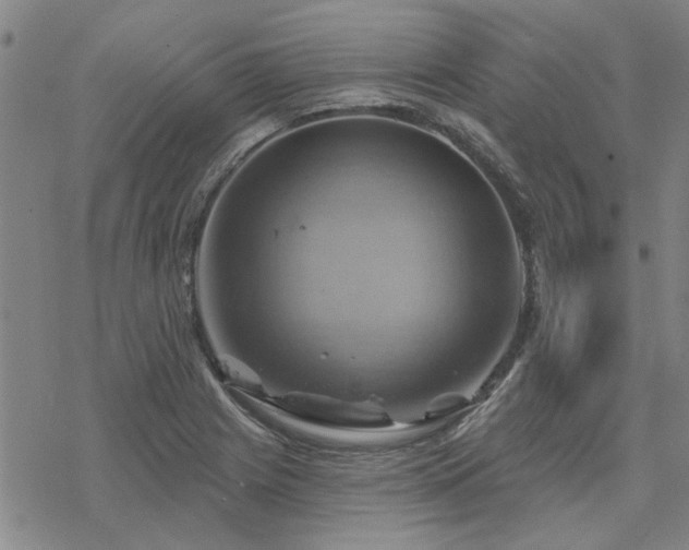 X0000068821225200605051202