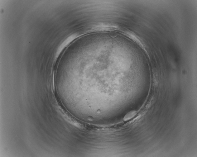 X0000068821227200605051202