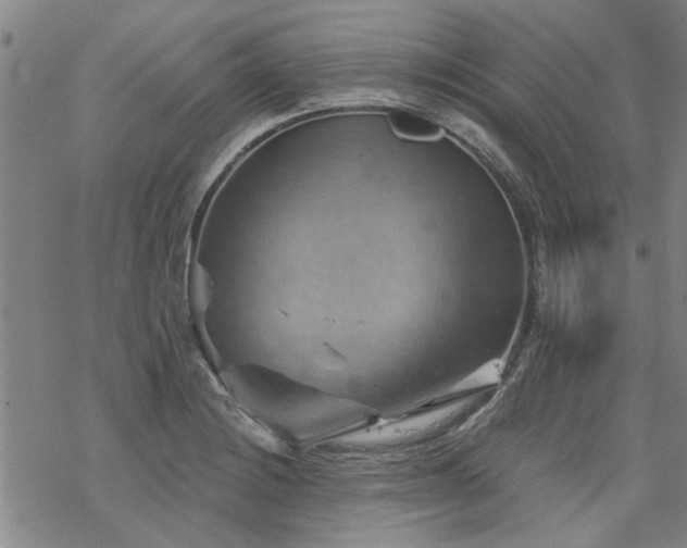 X0000068821228200605051202