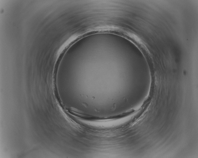 X0000068821229200605051202