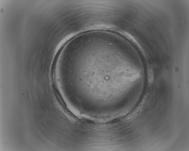 X0000068821230200605051202