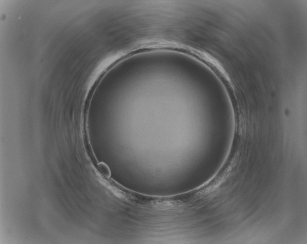 X0000068821231200605051202