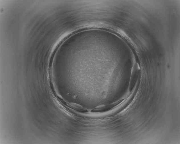 X0000068821232200605051202