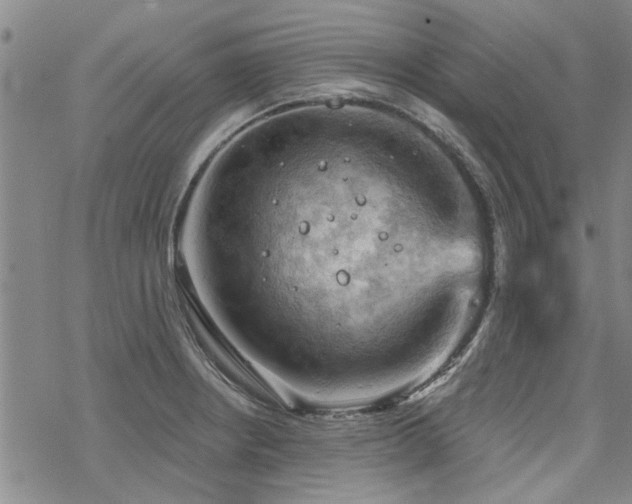 X0000068821234200605051202