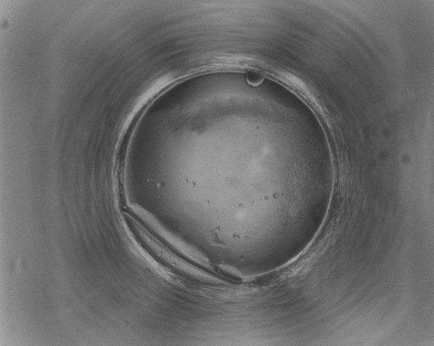 X0000068821235200605051202