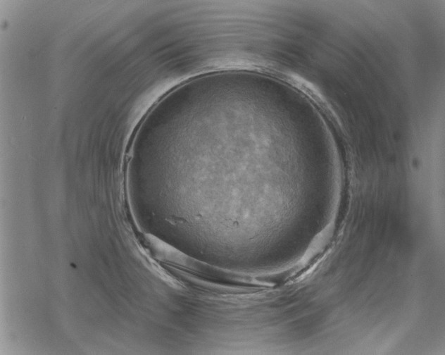 X0000068821236200605051202