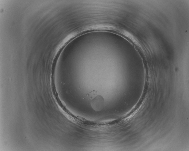 X0000068821237200605051202