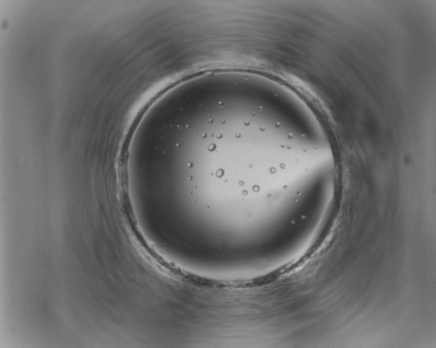 X0000068821238200605051202