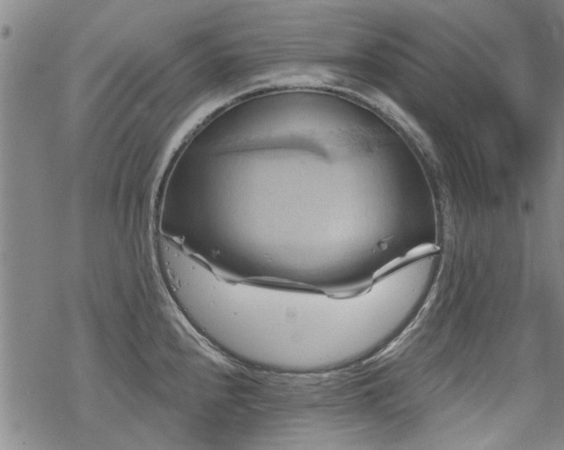 X0000068821240200605051202