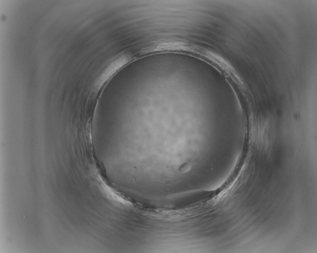 X0000068821241200605051202