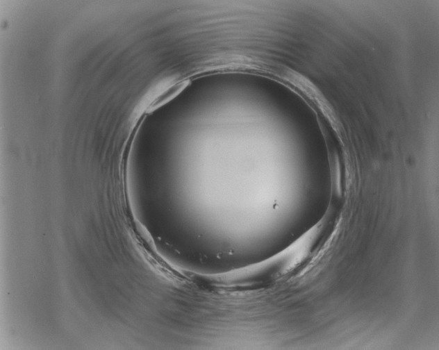 X0000068821242200605051202