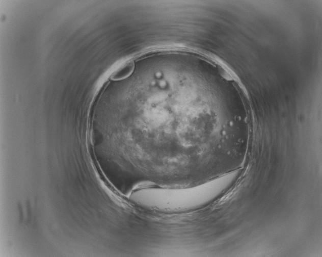 X0000068821245200605051202