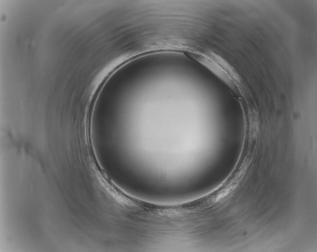 X0000068821246200605051202