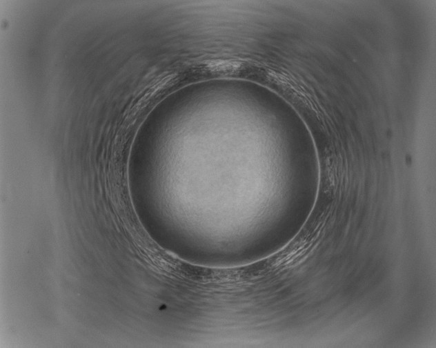 X0000068821249200605051202