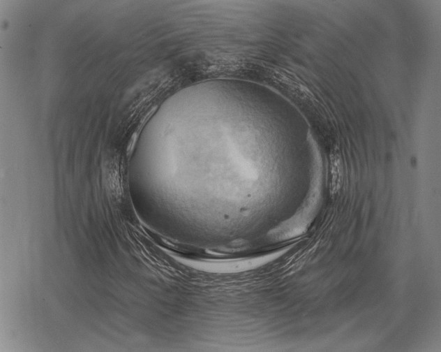 X0000068821250200605051202