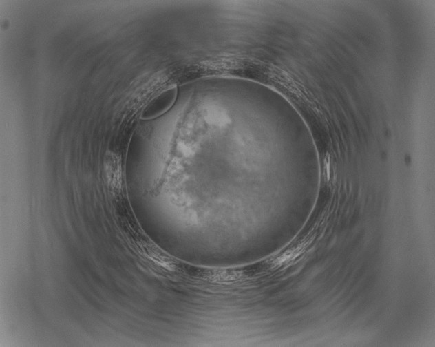 X0000068821251200605051202