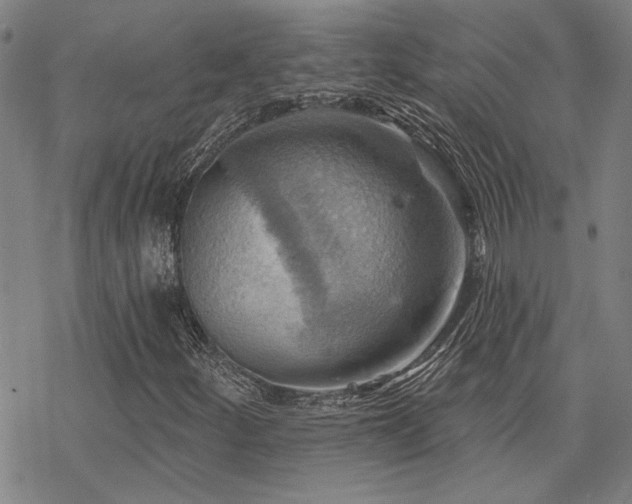 X0000068821252200605051202