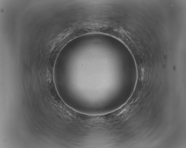 X0000068821253200605051201