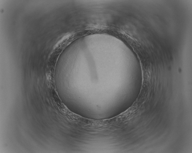 X0000068821254200605051201