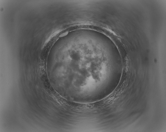 X0000068821255200605051201