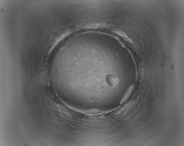 X0000068821256200605051201