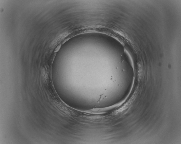 X0000068821257200605051201