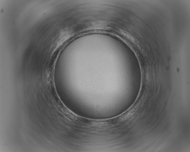 X0000068821258200605051201