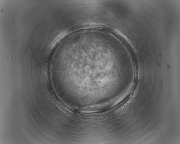 X0000068821259200605051201