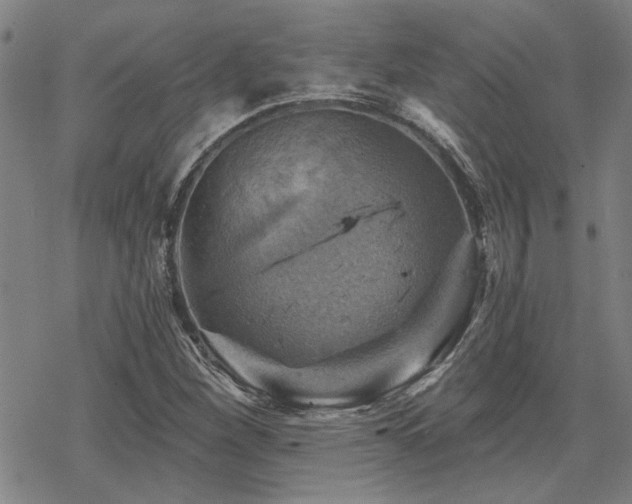 X0000068821260200605051201