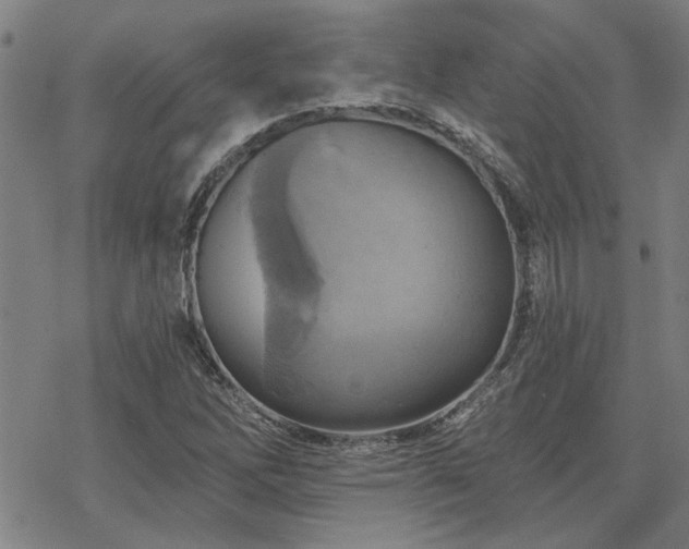 X0000068821262200605051201