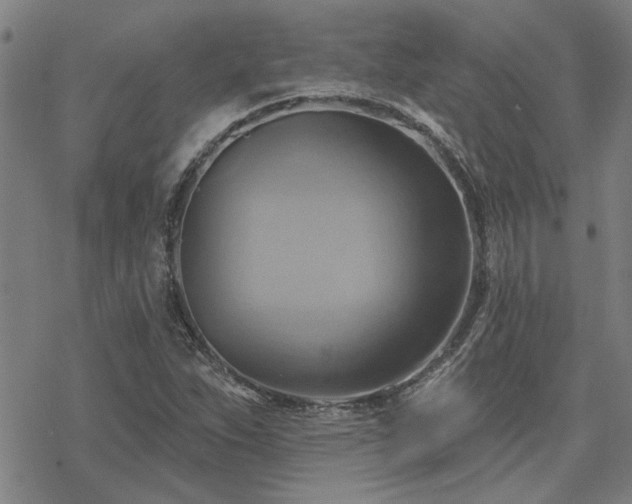 X0000068821263200605051201