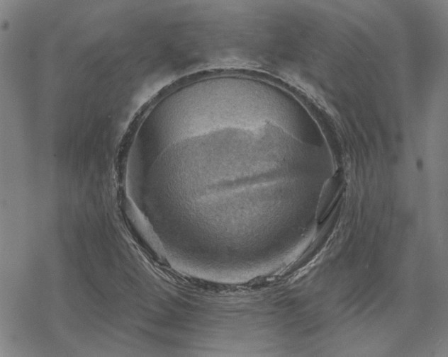 X0000068821264200605051201