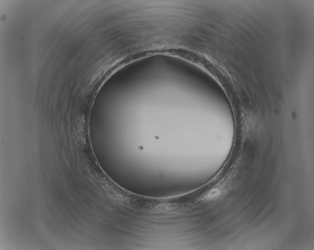 X0000068821265200605051201