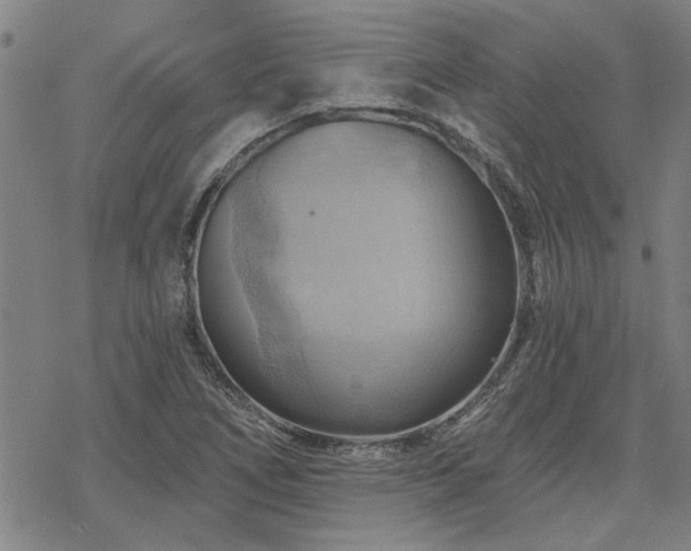 X0000068821266200605051201