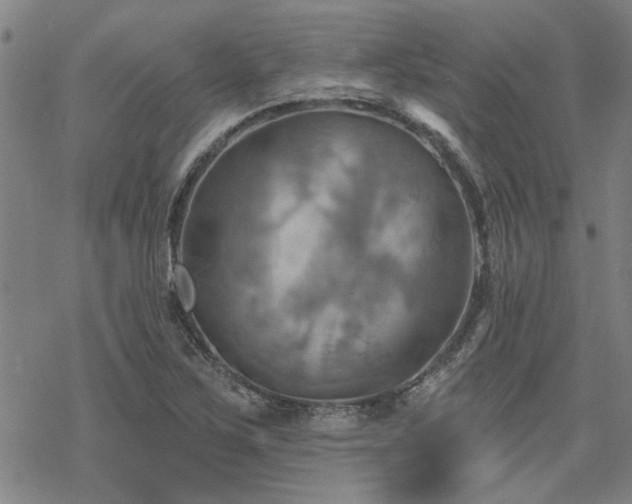 X0000068821267200605051201