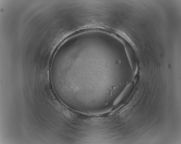 X0000068821268200605051201