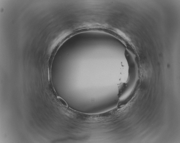 X0000068821269200605051201