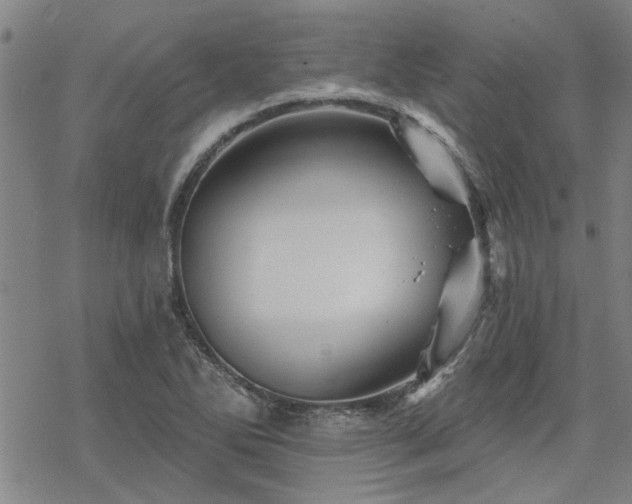 X0000068821270200605051201