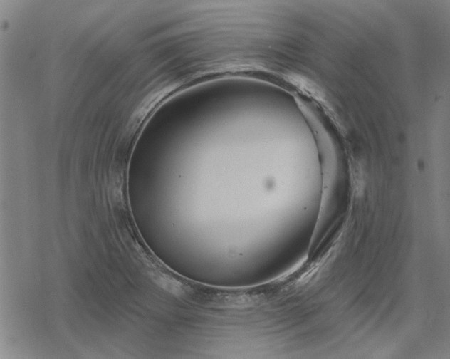 X0000068821273200605051201