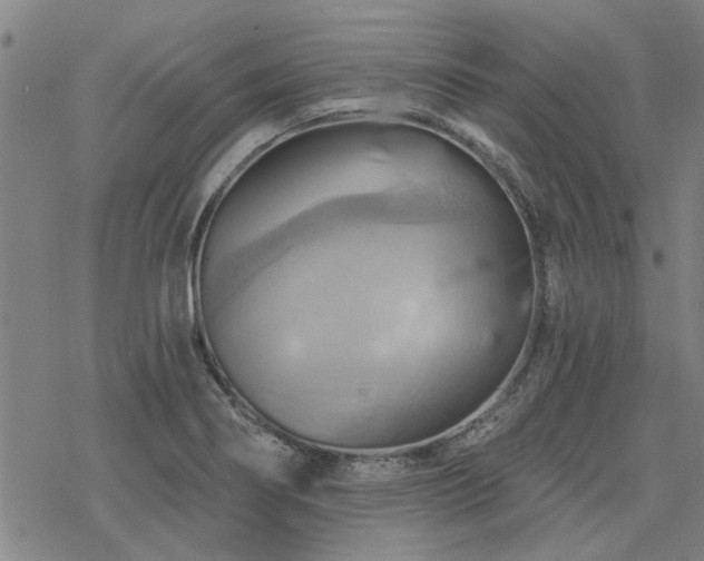 X0000068821274200605051201