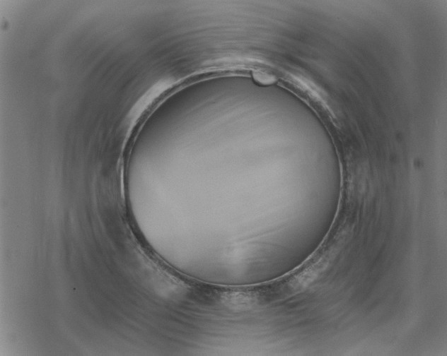 X0000068821275200605051201