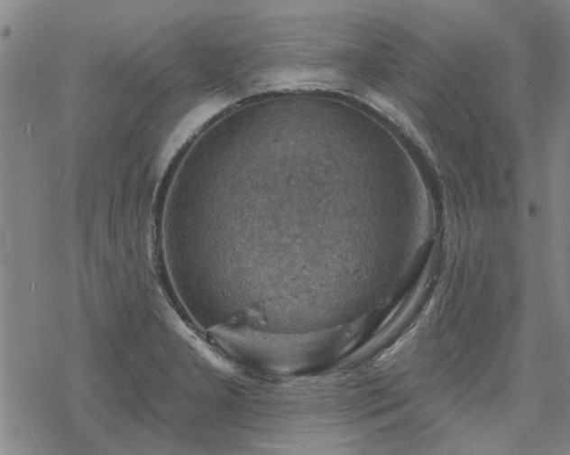 X0000068821277200605051201