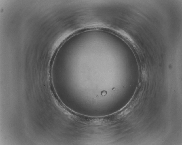 X0000068821279200605051201