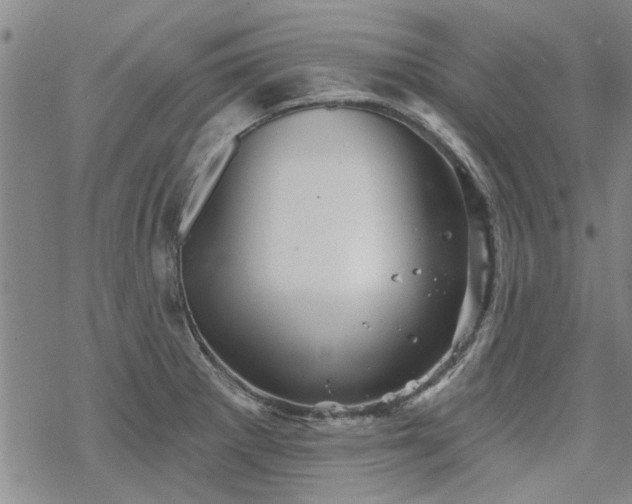 X0000068821281200605051201