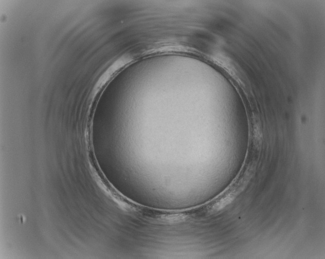 X0000068821282200605051201