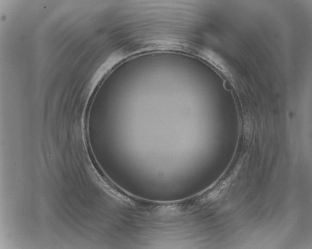 X0000068821283200605051201