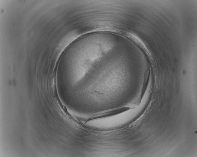 X0000068821284200605051201