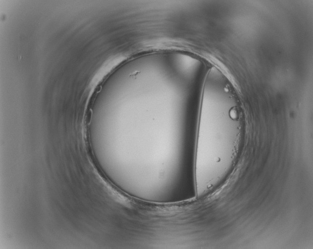 X0000068821285200605051201